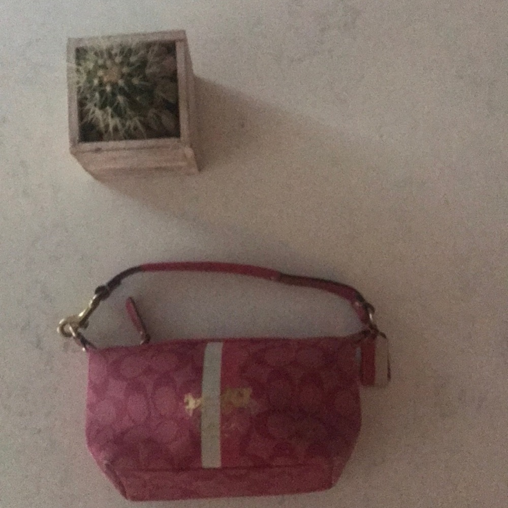 Coach Pink Purse